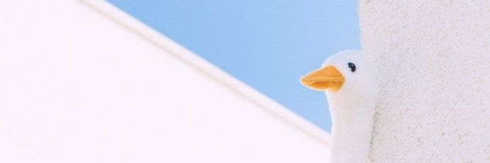 shfhndr's profile banner image