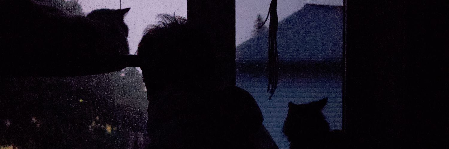 KatelynRST's profile banner image
