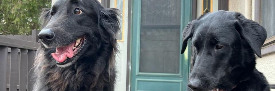 SLP22Dad's profile banner image