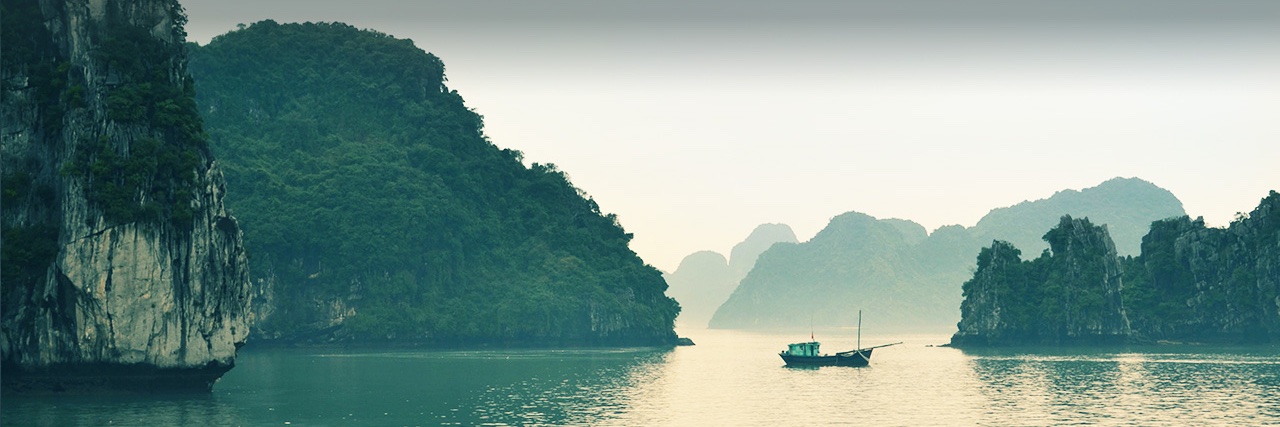 Asia Investor Group on Climate Change banner