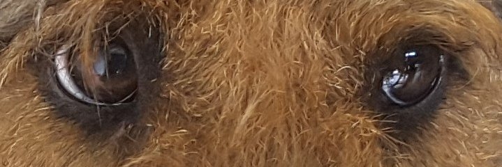 CillaTr's profile banner image
