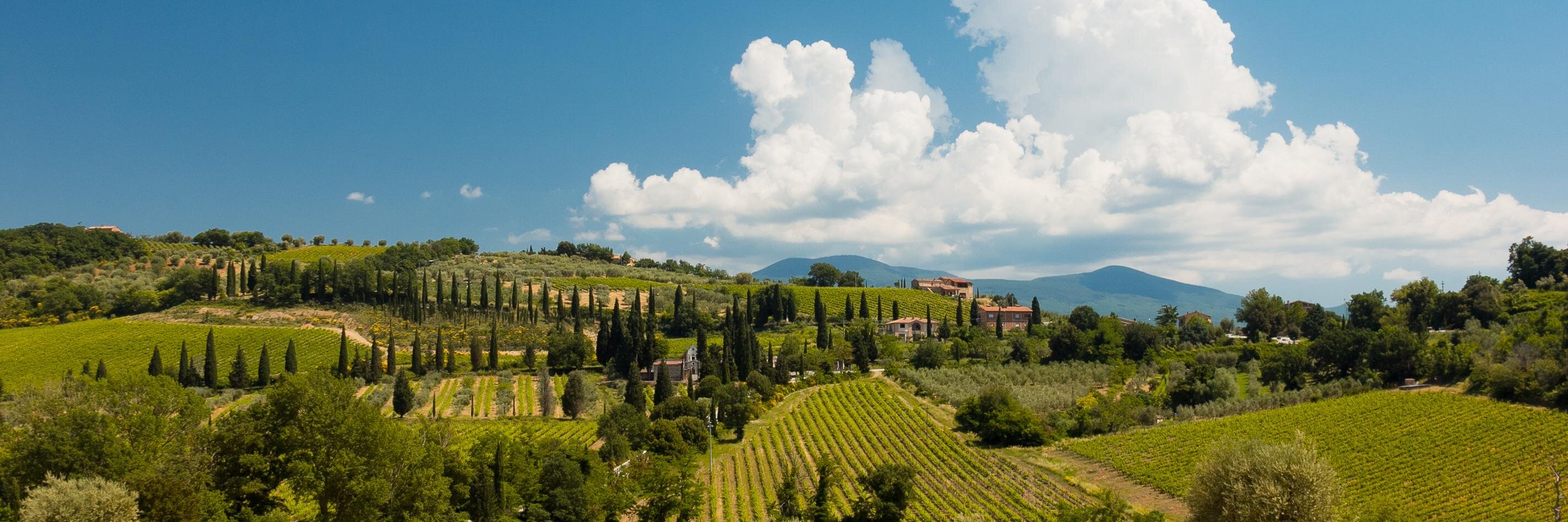 Johannes Gilger banner