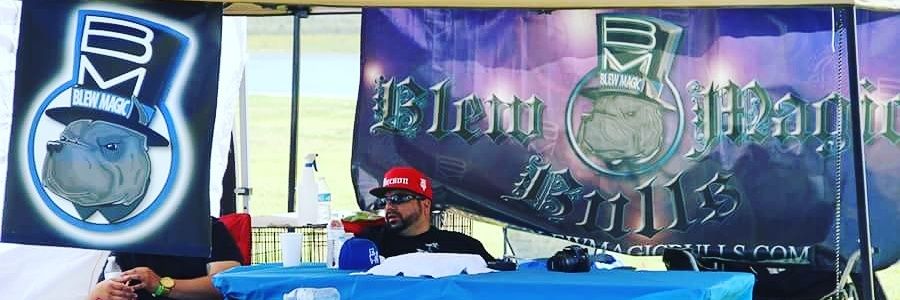 angelburrola's profile banner image