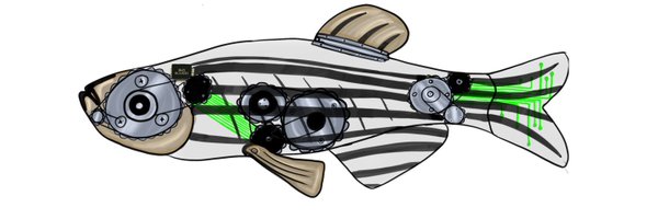 OlssonRoger Profile Banner