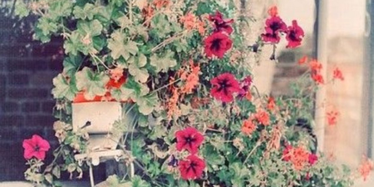 marinacorbata's profile banner image
