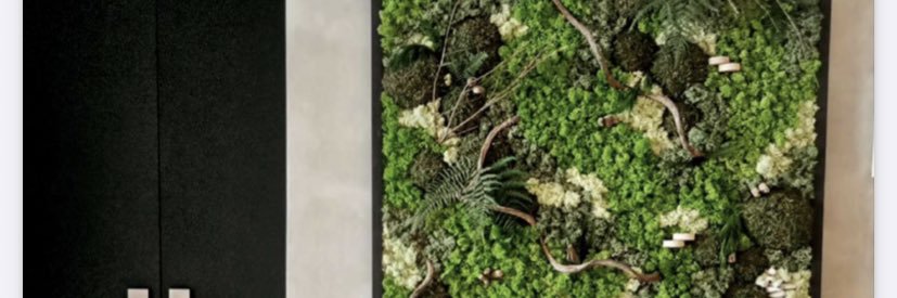 capboymo's profile banner image