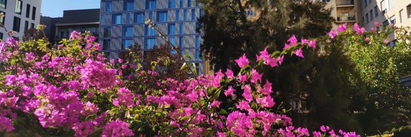 sperezarroyo Profile Banner