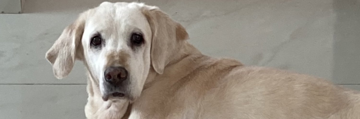 andycamachoo19's profile banner image