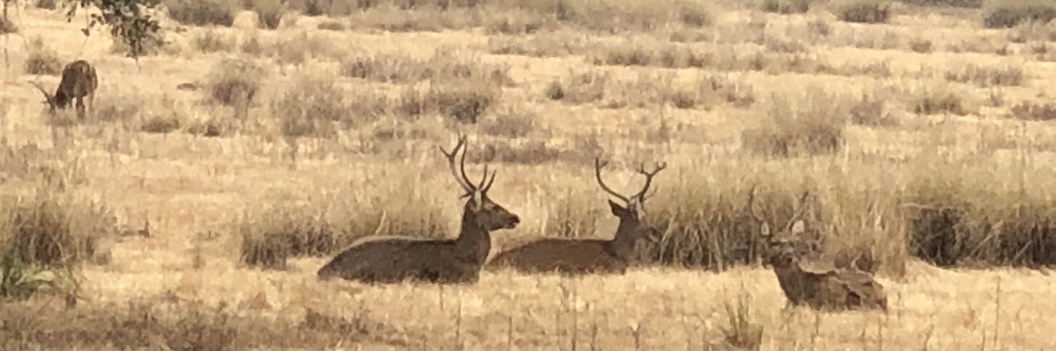 Dhirendra Agrawal banner