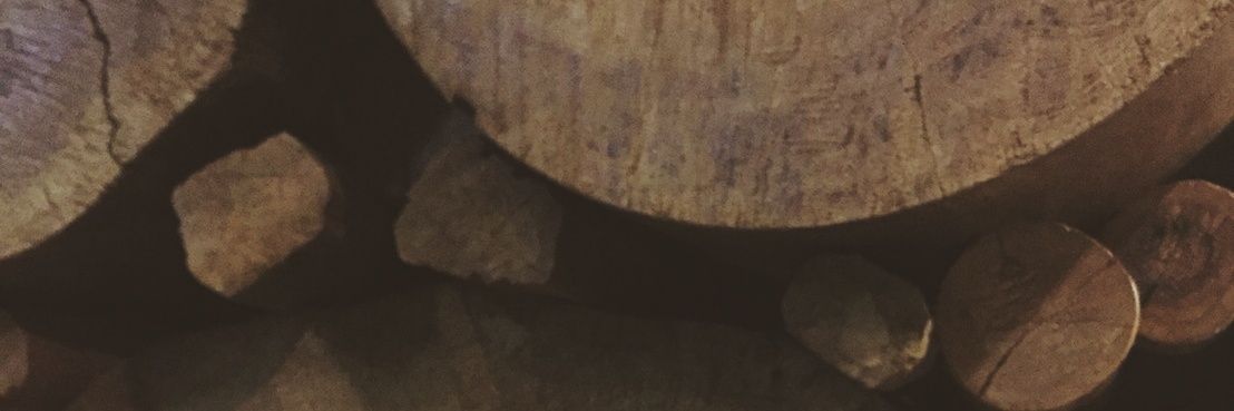 vtbrlza_'s profile banner image