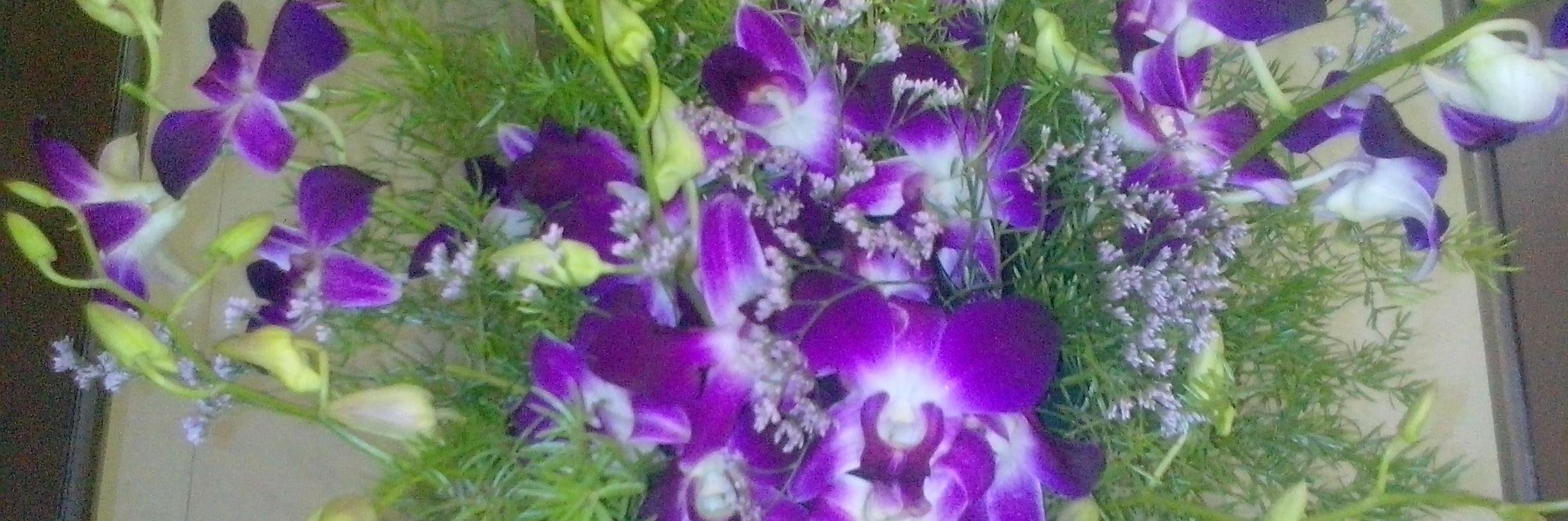 Prajakta66's profile banner image