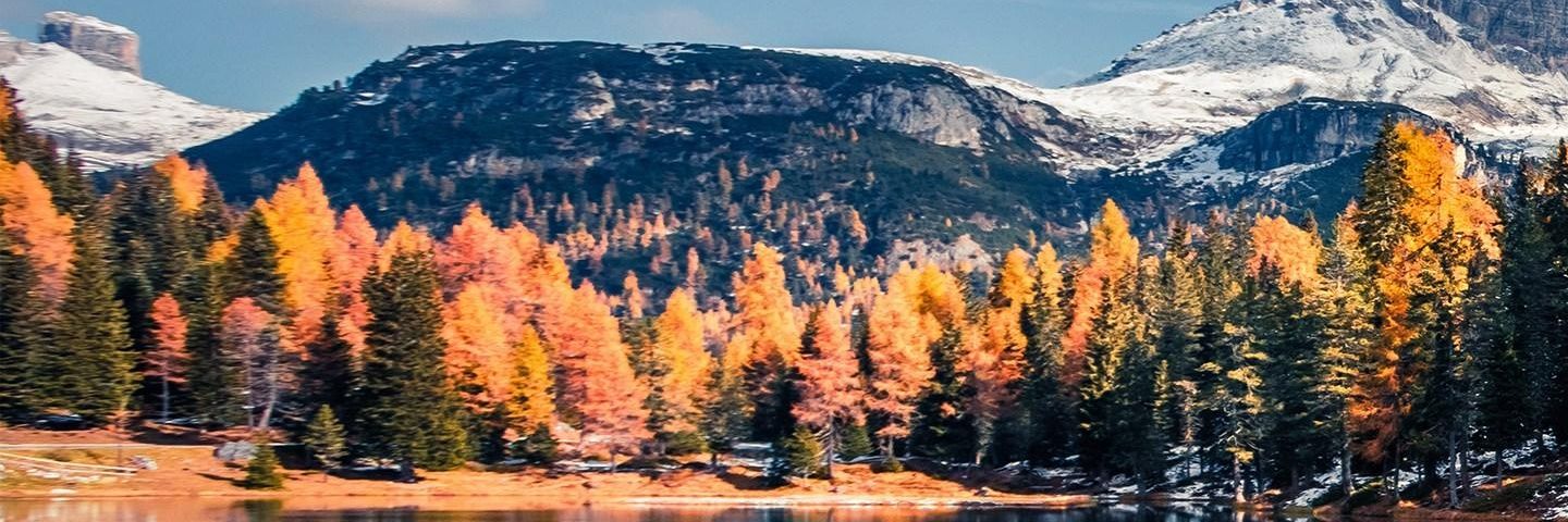 egertoncu's profile banner image