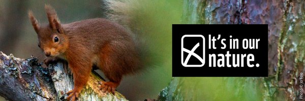 WWFScotland Profile Banner