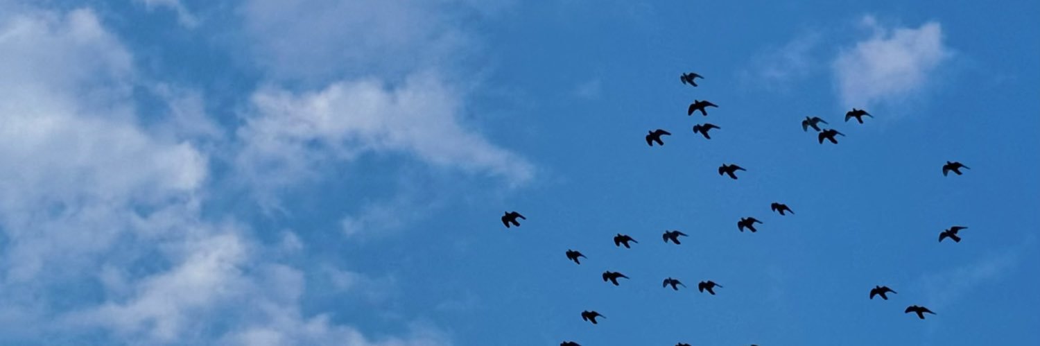 phiimphiimonn's profile banner image