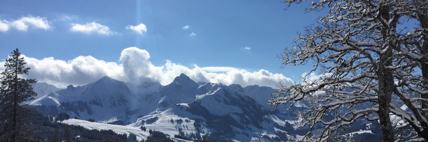 karin_luthi's profile banner image