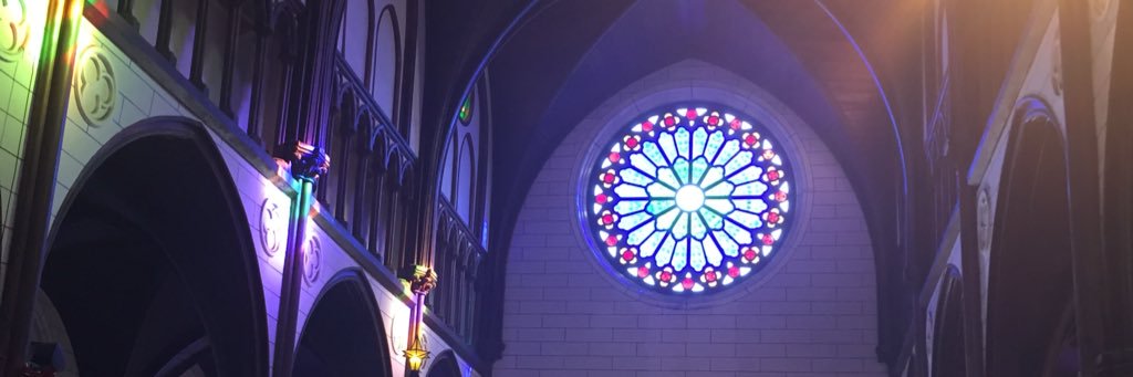 おさかな🐟 banner