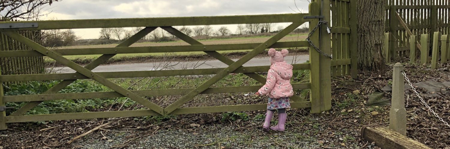 Rebecca Field banner