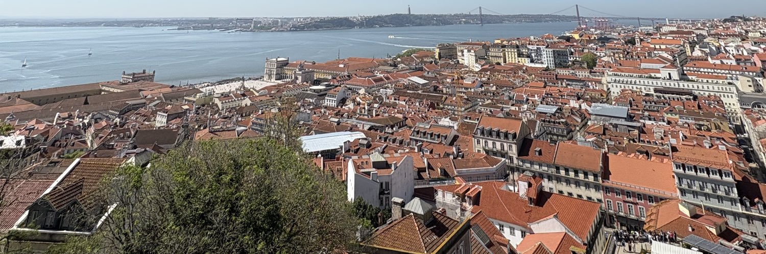 レモンライム banner