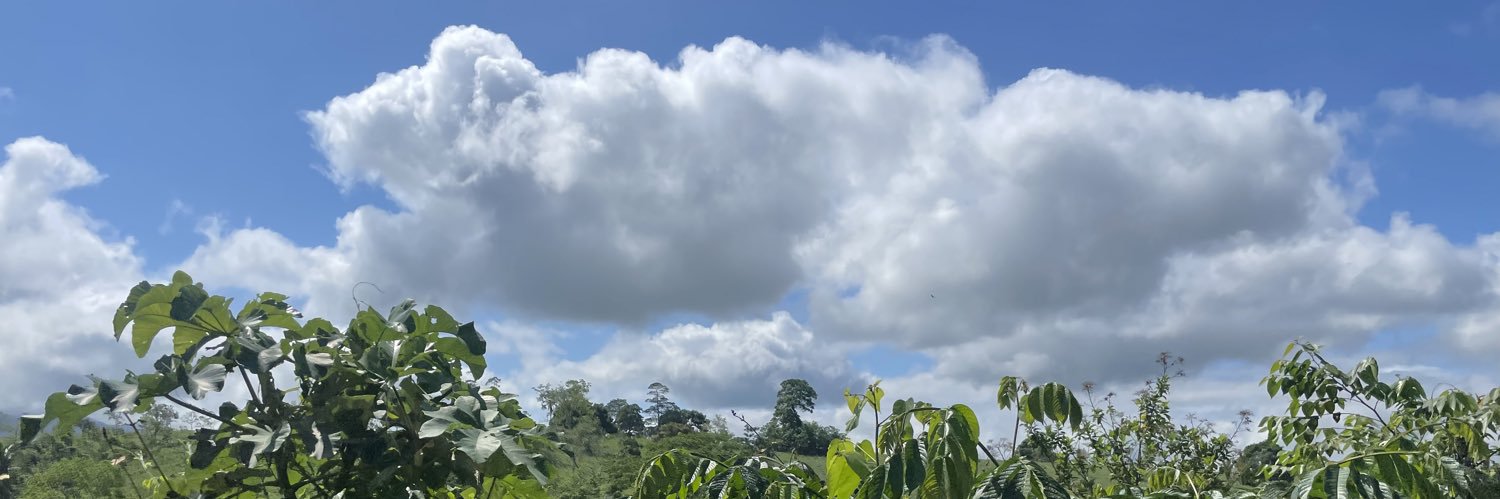 miausdm's profile banner image