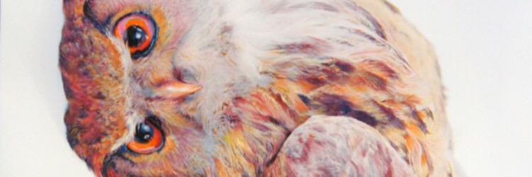 ElaErmutaf's profile banner image