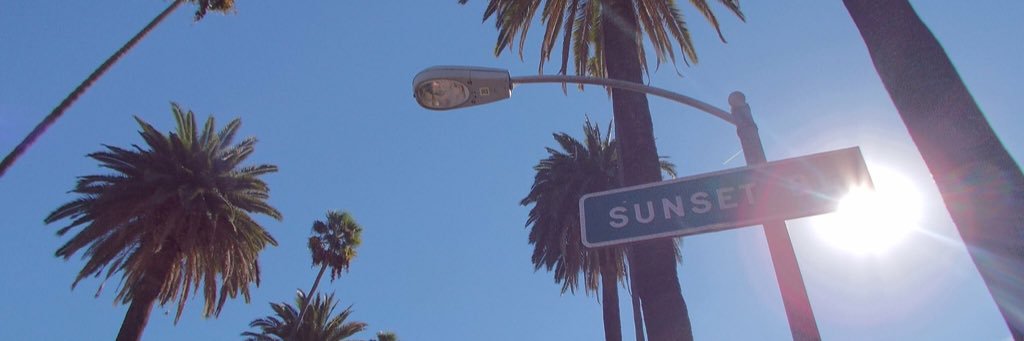 kay_schleider's profile banner image