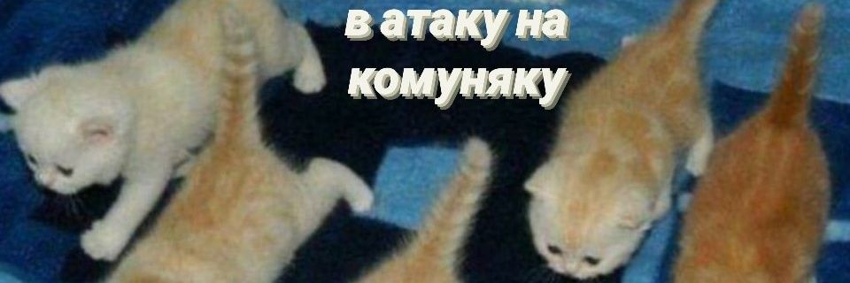 min_tiee's profile banner image