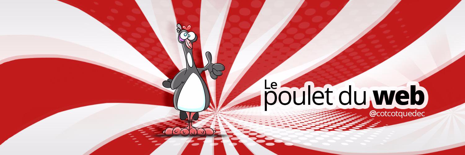 cotcotquedec's profile banner image