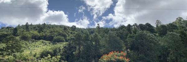 v_TheAccountant Profile Banner