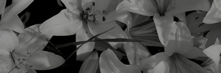 rahnasukma's profile banner image
