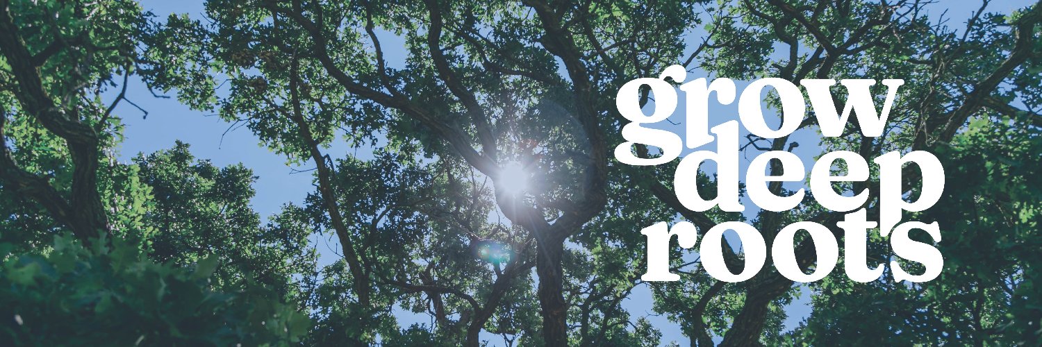 Spring Arbor University banner