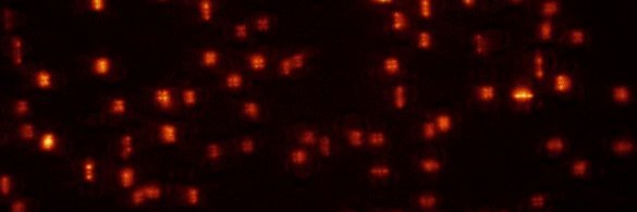 Nano Bio Optics Lab (Yoav Shechtman)'s banner