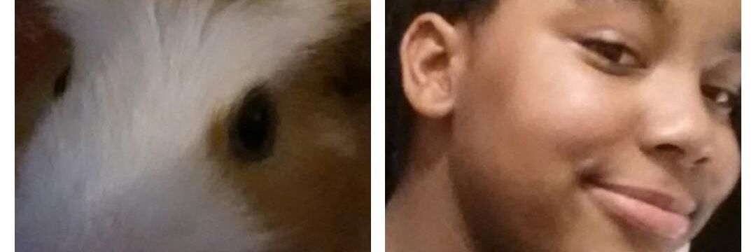 Saffie_Simon's profile banner image
