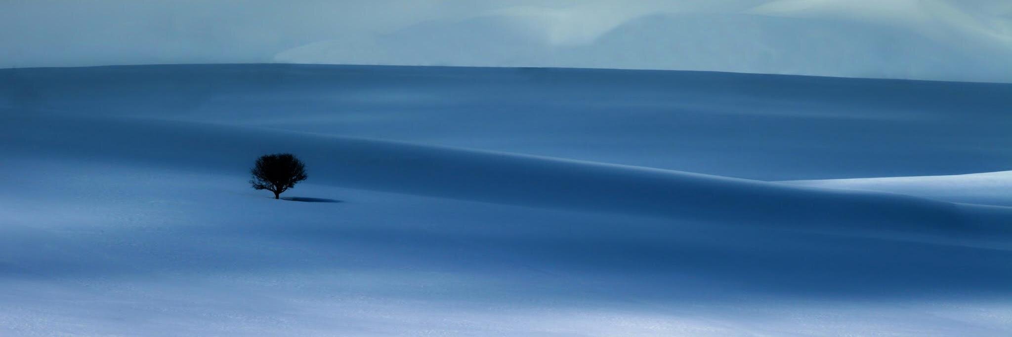 Türkan Karakuş Yılmaz banner