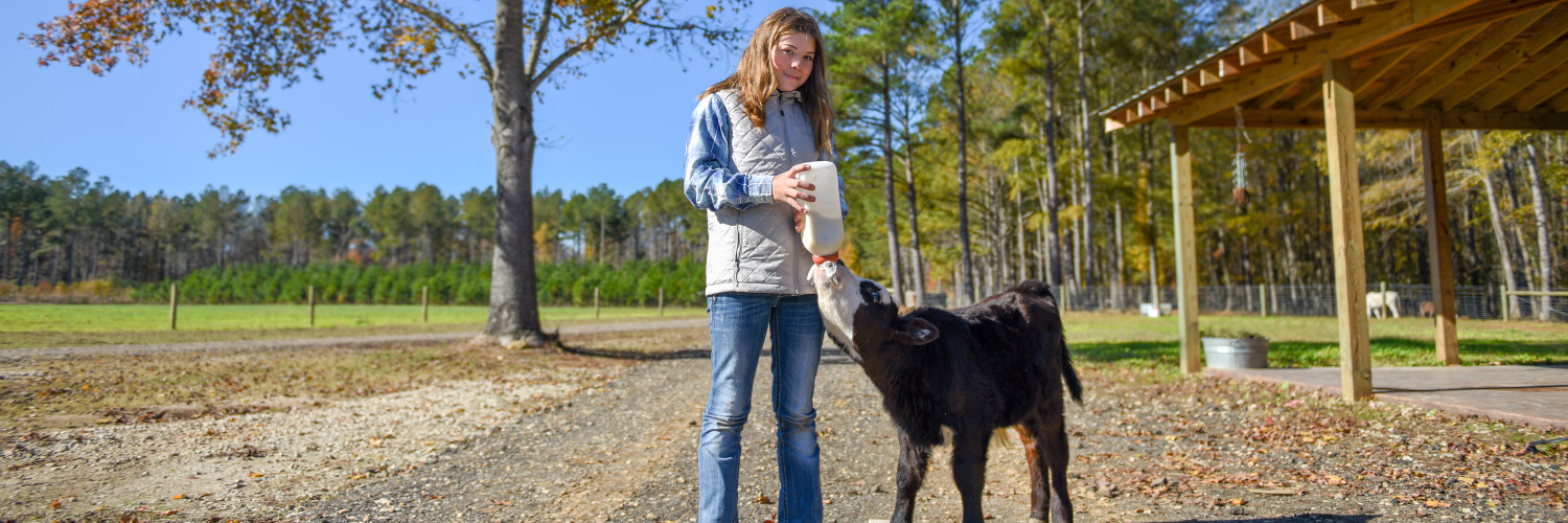 NCExtension's profile banner image