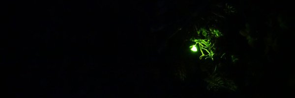 cmoreldarleux Profile Banner