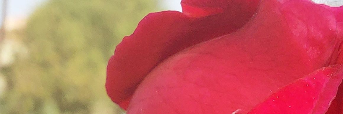 soCalledboy's profile banner image