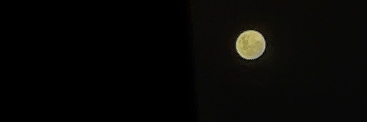 micolmaartinez's profile banner image