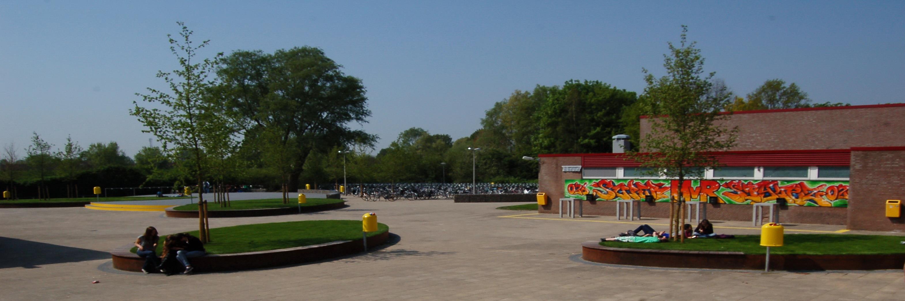 Maarten van Rossem banner