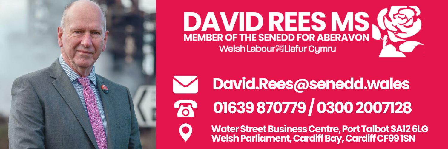 David Rees MS banner