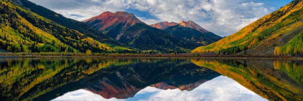 ThingsDudeSez Profile Banner