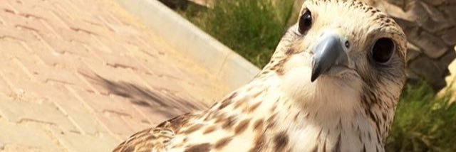 Jay__82's profile banner image