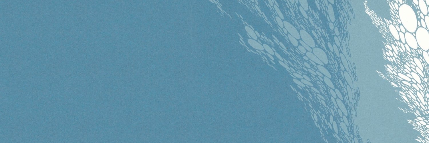 Klaus banner