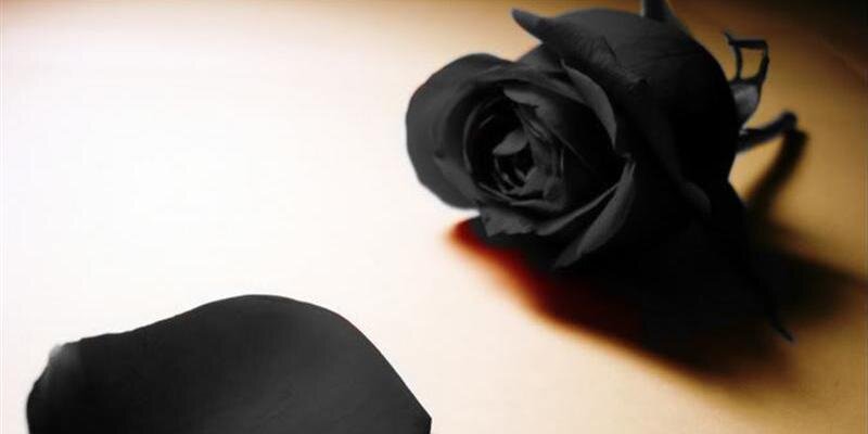 flawerinaa's profile banner image