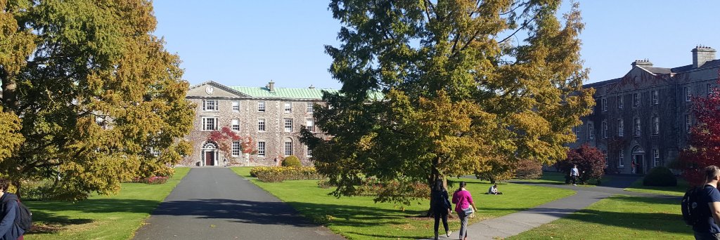 Aneta Stępień banner