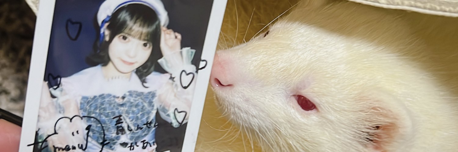 1_yut's profile banner image