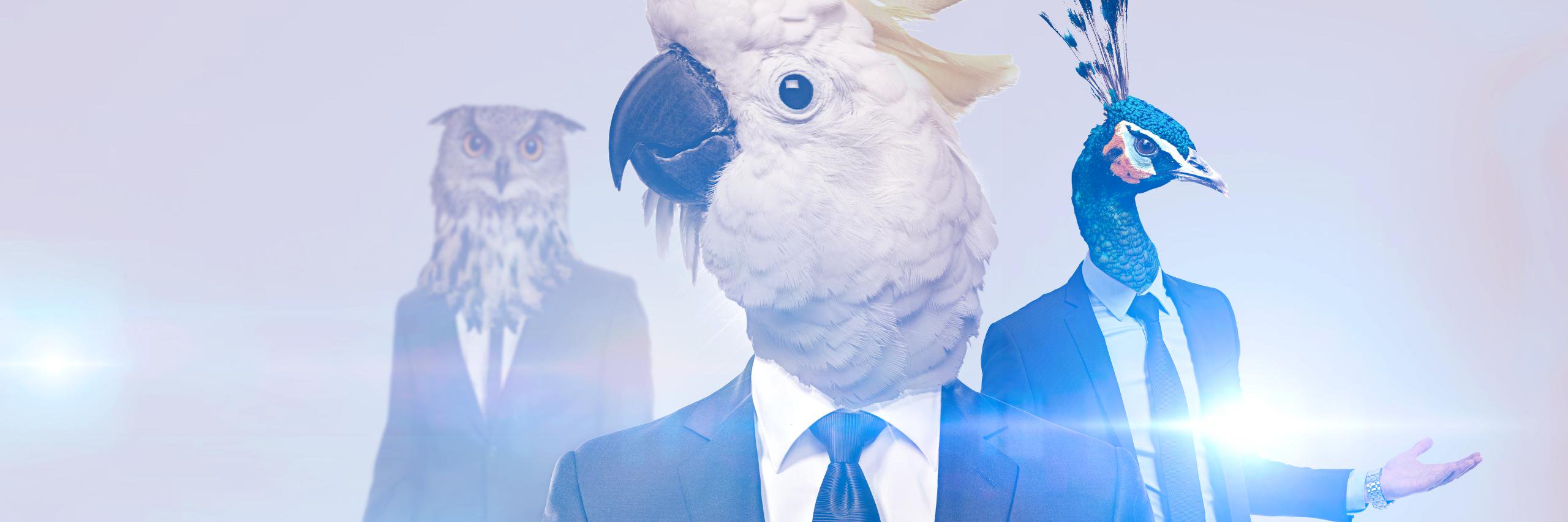 Rodolfo • The first banner