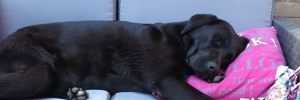 lauano Profile Banner