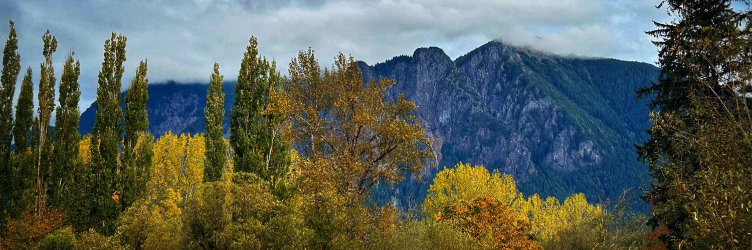 Anita Kissée banner