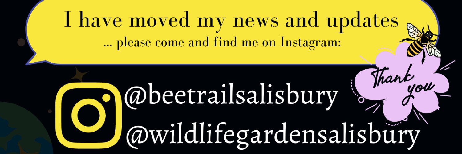 Rebecca Twigg - Kingdomofsticks.com | Salisbury banner