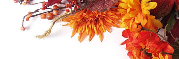 moot__1007's profile banner image